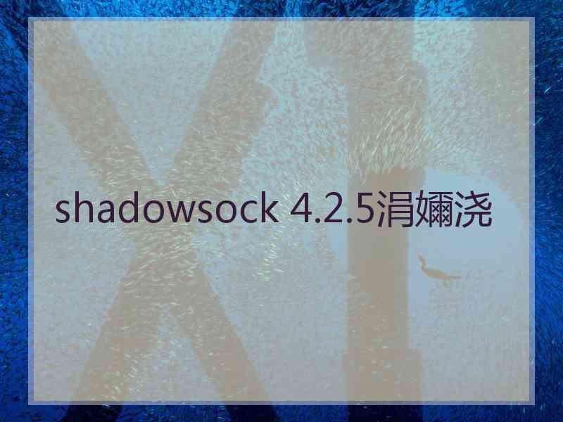 shadowsock 4.2.5涓嬭浇