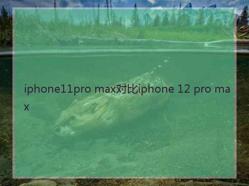 iphone11pro max对比iphone 12 pro max