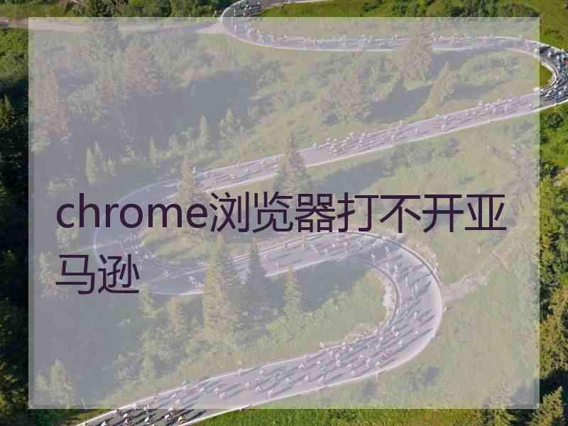 chrome浏览器打不开亚马逊