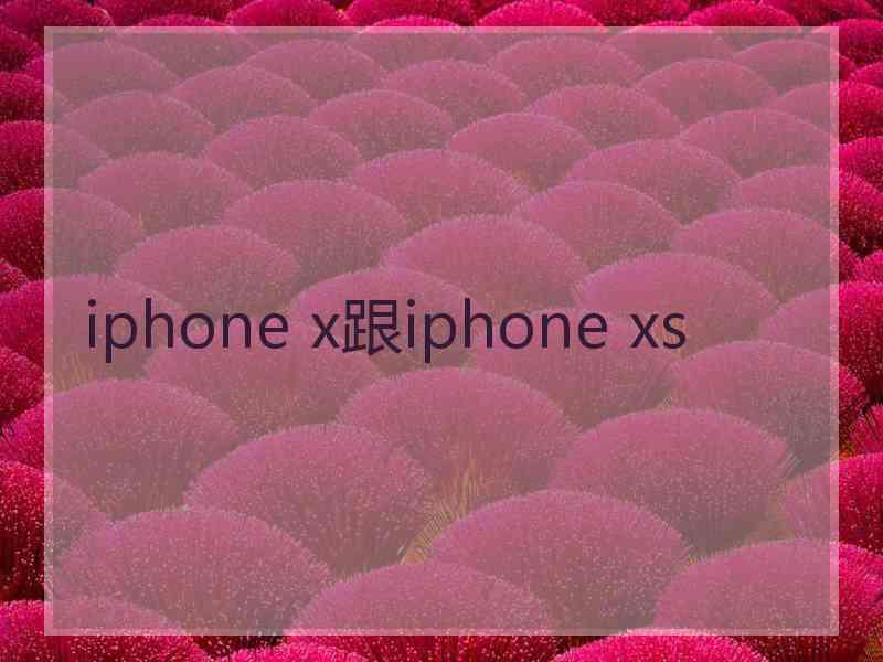 iphone x跟iphone xs