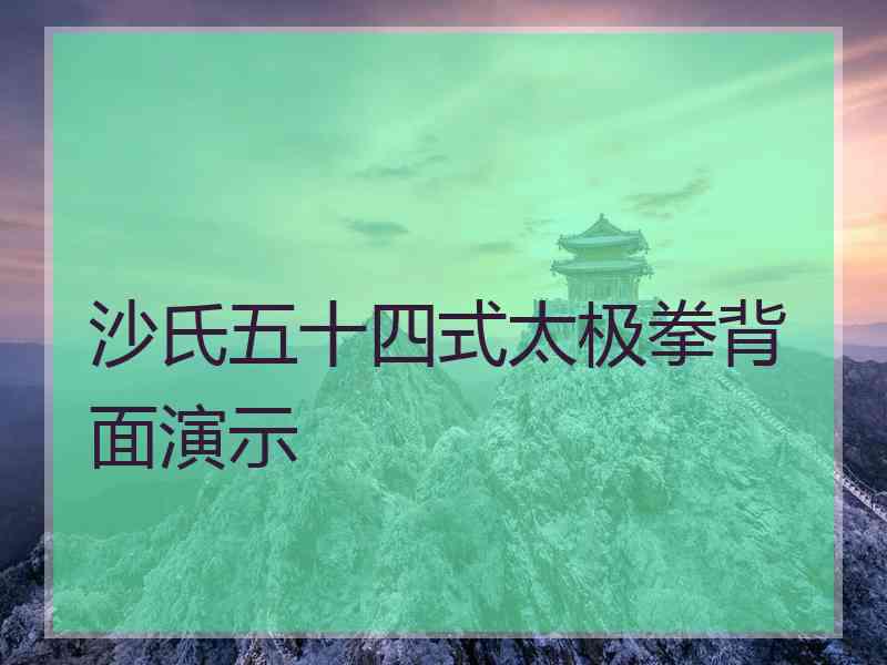 沙氏五十四式太极拳背面演示