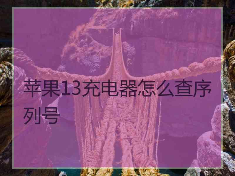 苹果13充电器怎么查序列号