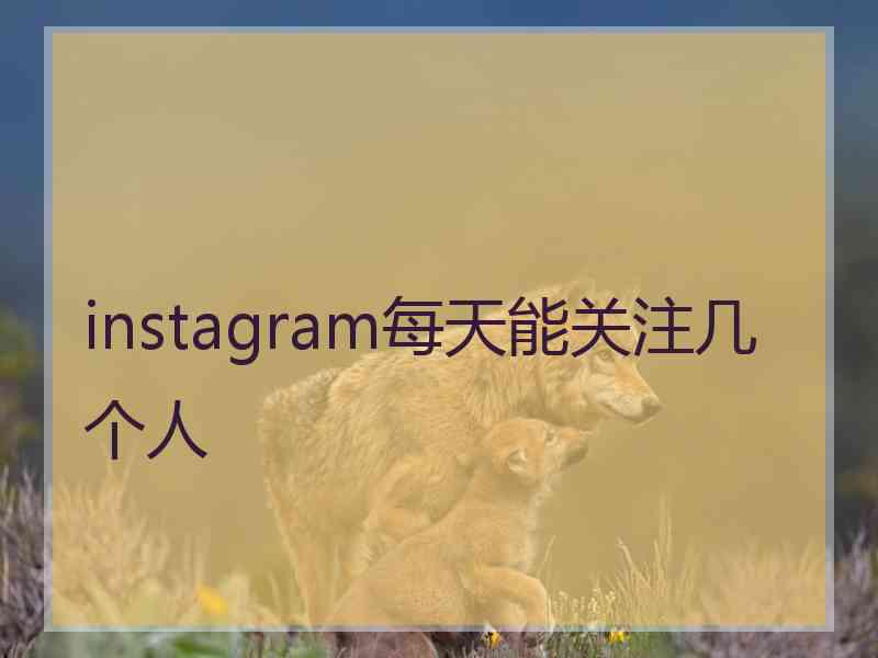 instagram每天能关注几个人