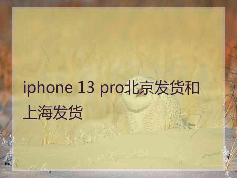 iphone 13 pro北京发货和上海发货