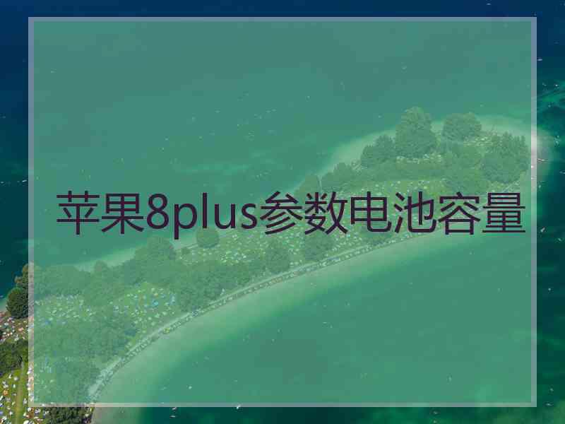 苹果8plus参数电池容量