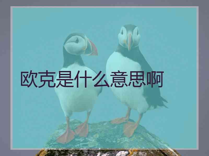 欧克是什么意思啊