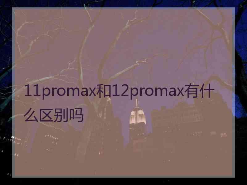 11promax和12promax有什么区别吗