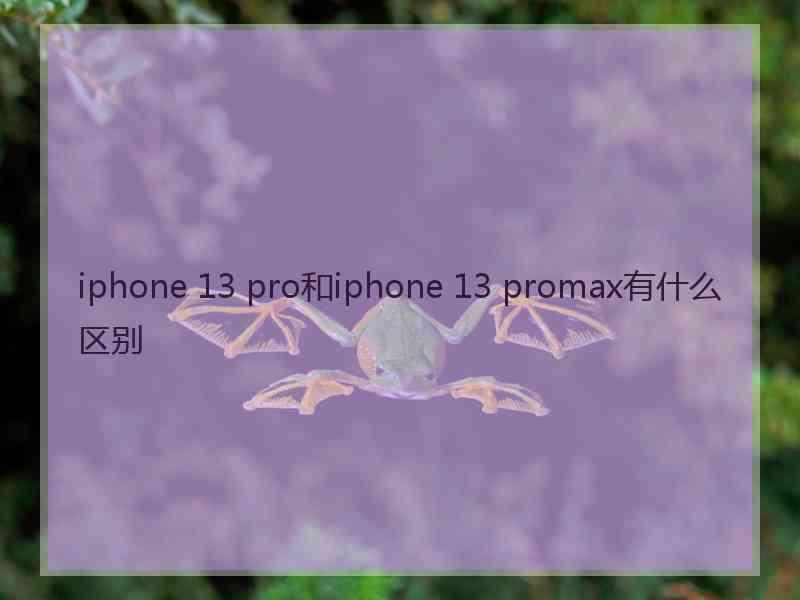 iphone 13 pro和iphone 13 promax有什么区别