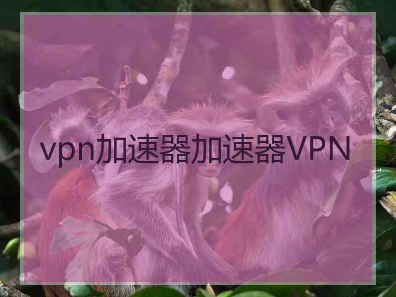 vpn加速器加速器VPN