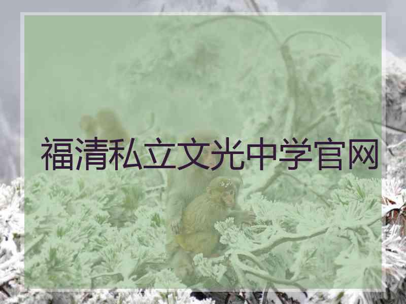 福清私立文光中学官网