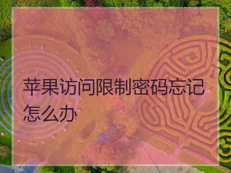 苹果访问限制密码忘记怎么办