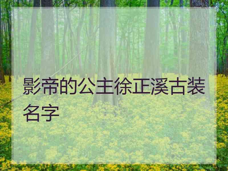 影帝的公主徐正溪古装名字