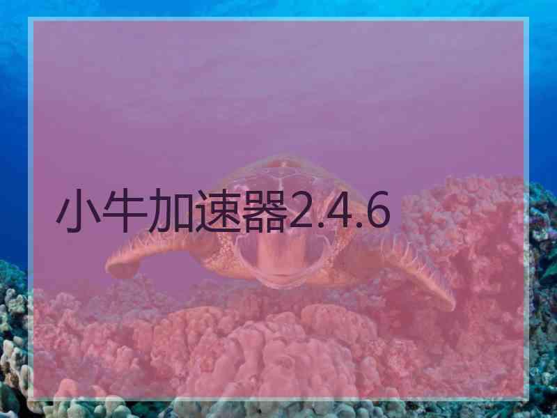 小牛加速器2.4.6