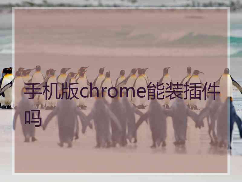 手机版chrome能装插件吗