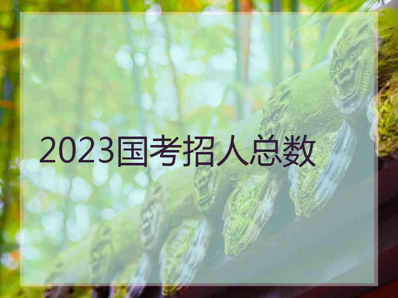 2023国考招人总数