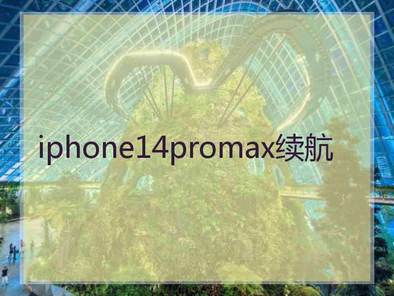 iphone14promax续航