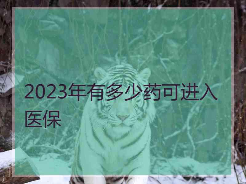 2023年有多少药可进入医保