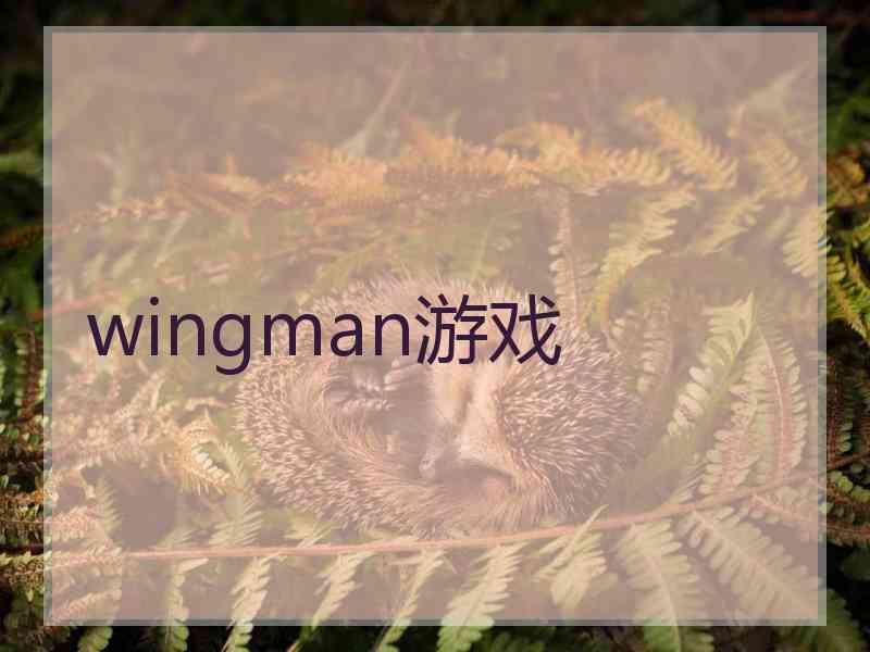 wingman游戏