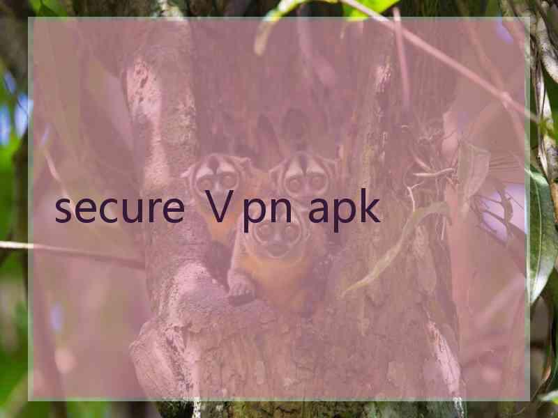 secure Ⅴpn apk