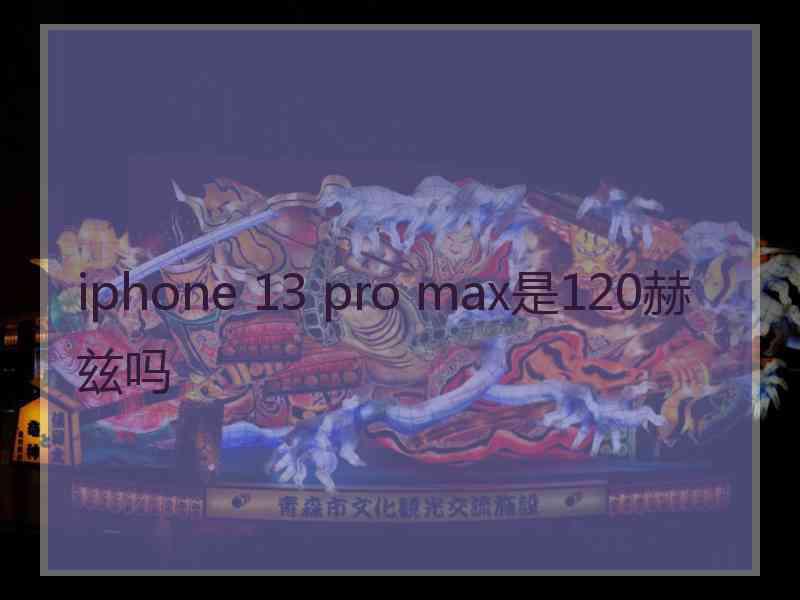 iphone 13 pro max是120赫兹吗