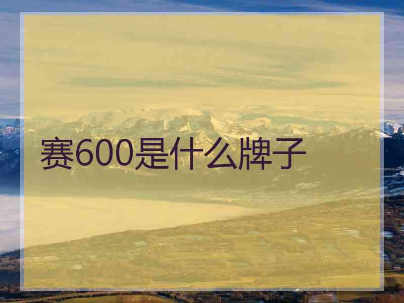 赛600是什么牌子