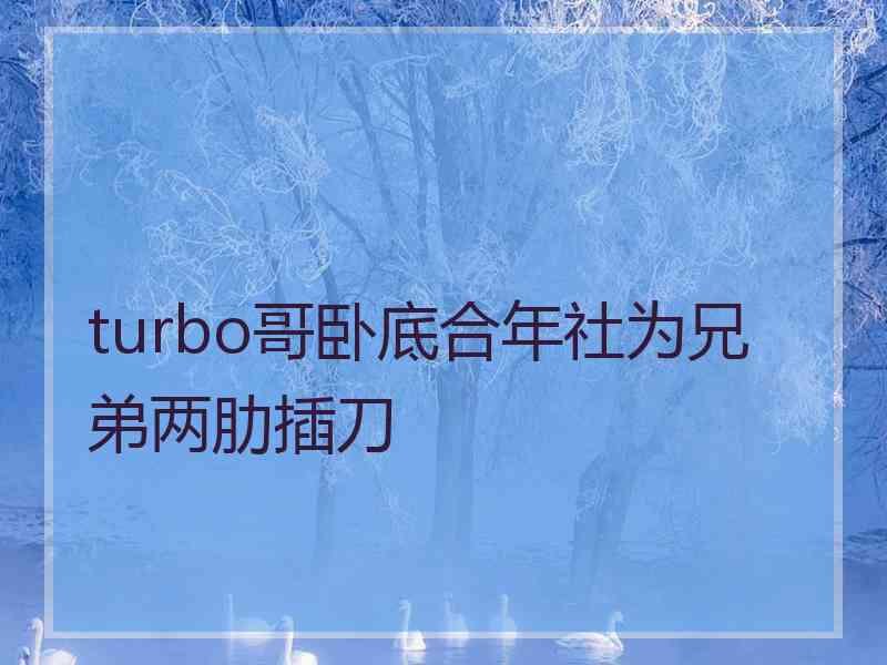 turbo哥卧底合年社为兄弟两肋插刀