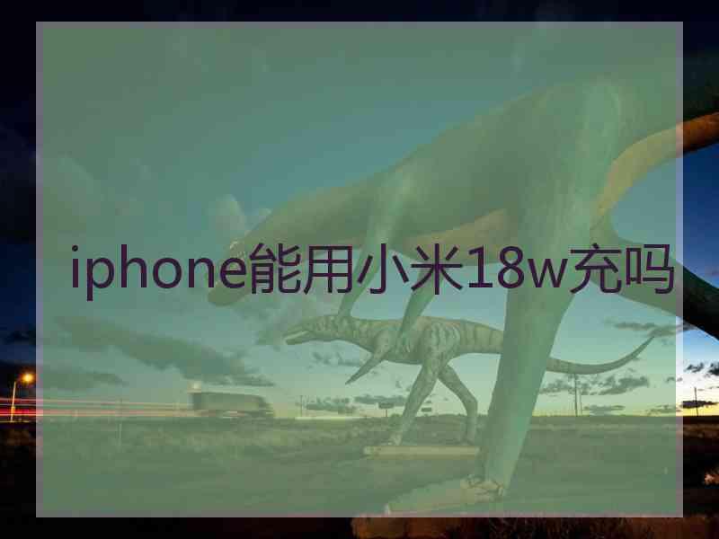 iphone能用小米18w充吗