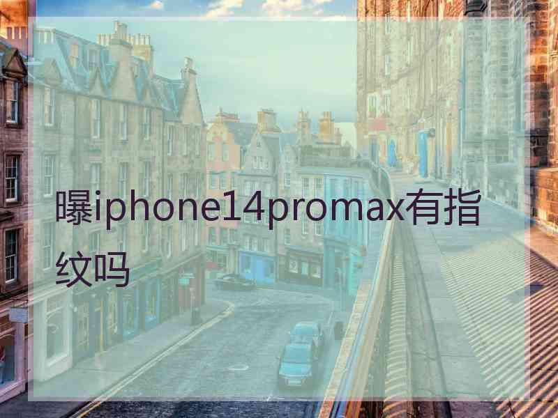 曝iphone14promax有指纹吗