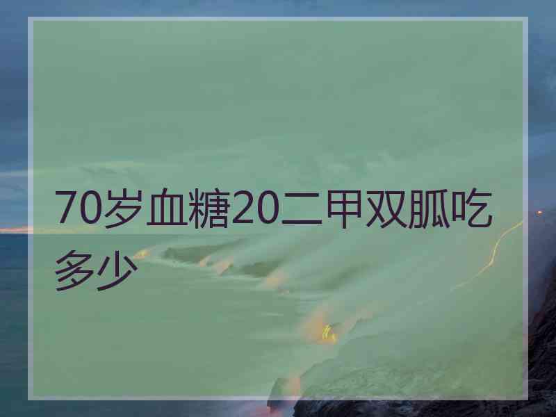 70岁血糖20二甲双胍吃多少