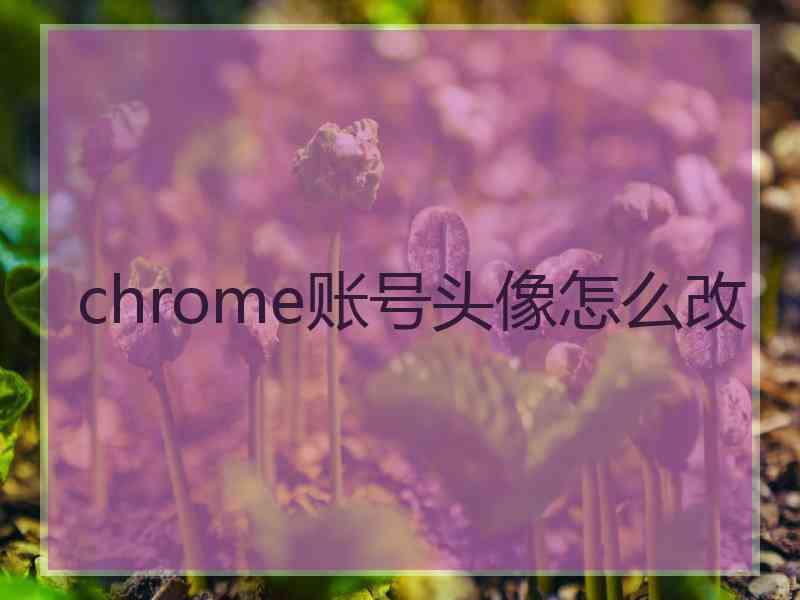 chrome账号头像怎么改