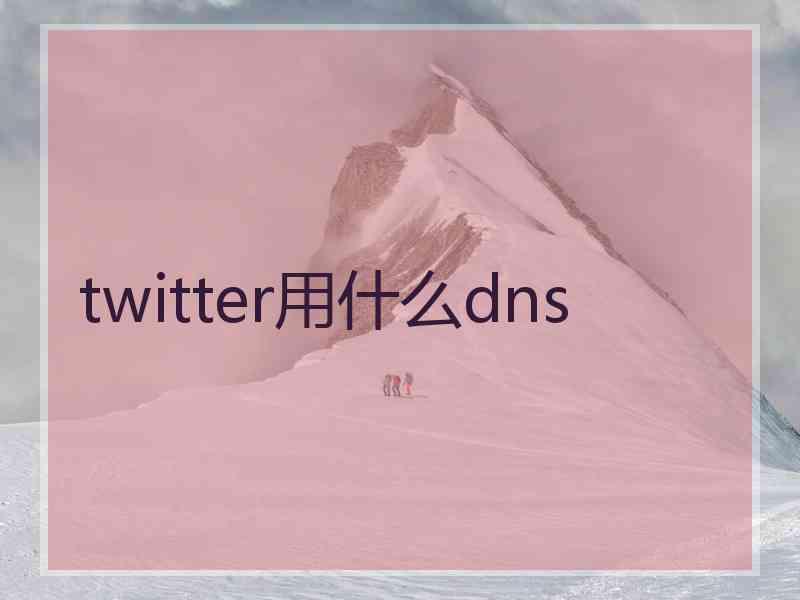 twitter用什么dns