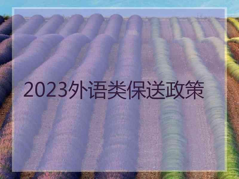 2023外语类保送政策