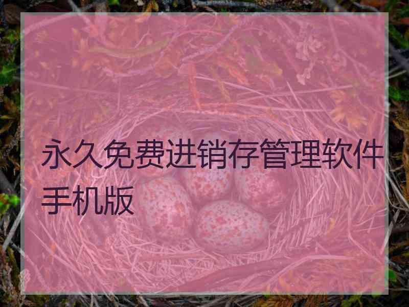 永久免费进销存管理软件手机版