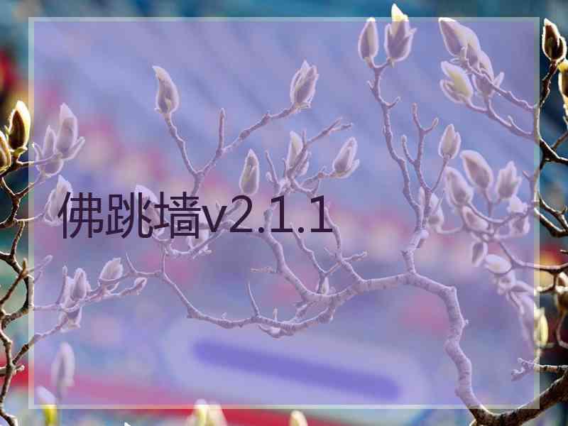 佛跳墙v2.1.1