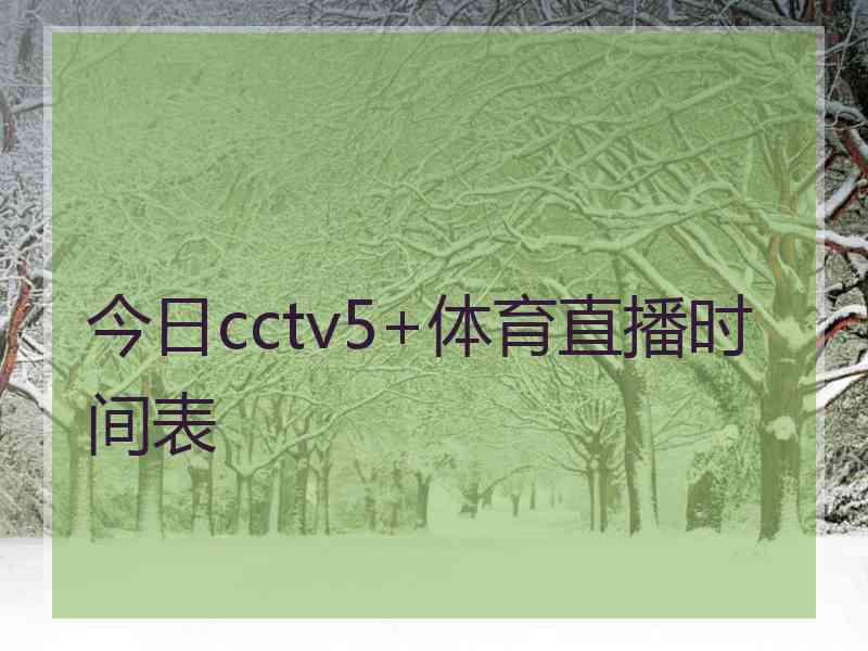 今日cctv5+体育直播时间表