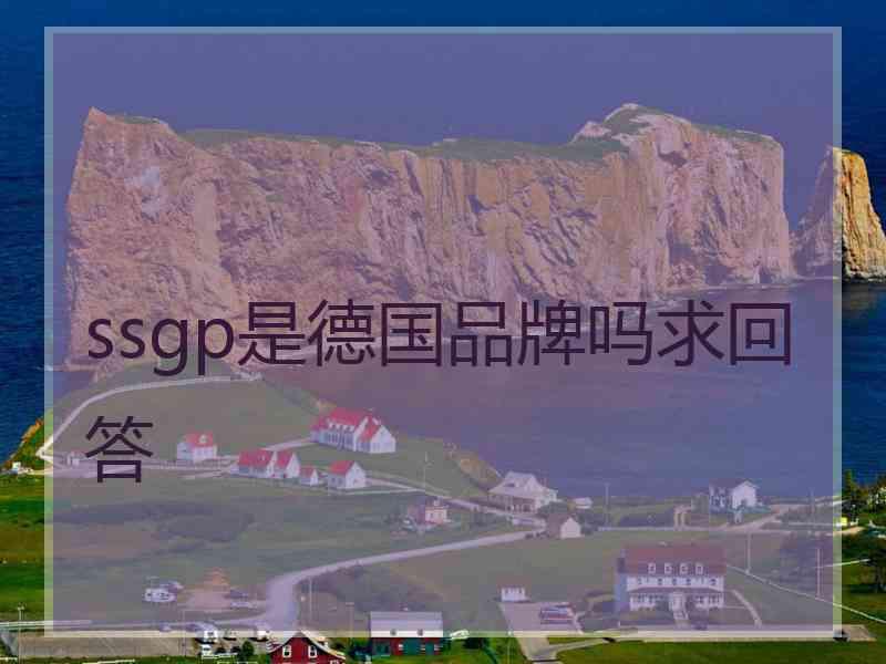 ssgp是德国品牌吗求回答