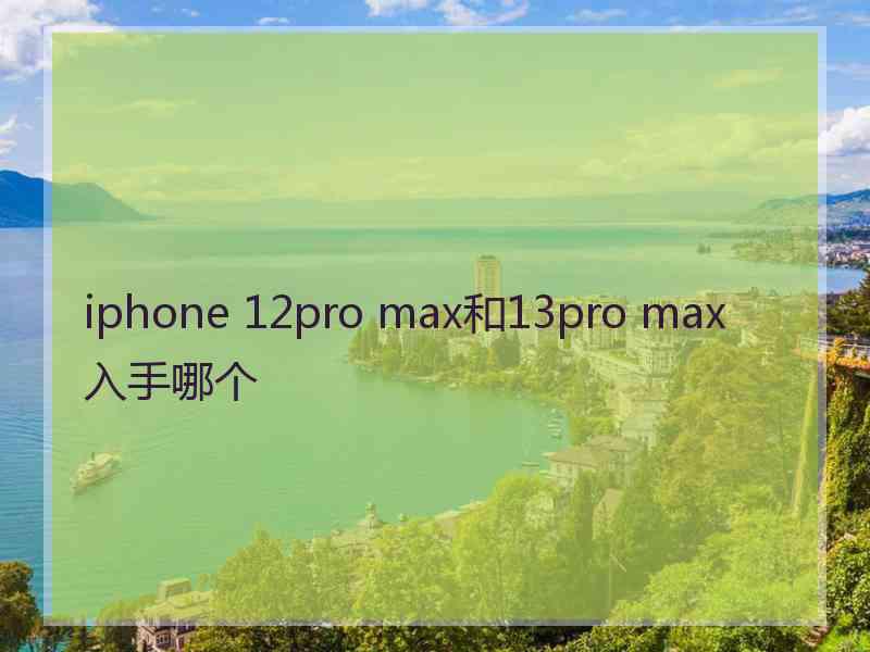 iphone 12pro max和13pro max入手哪个