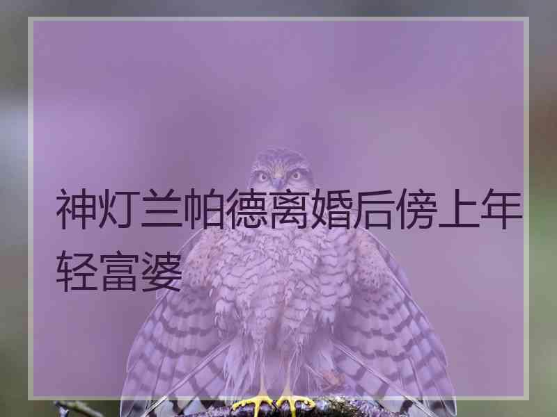 神灯兰帕德离婚后傍上年轻富婆