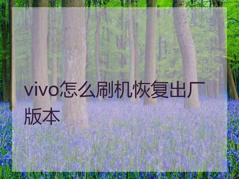 vivo怎么刷机恢复出厂版本