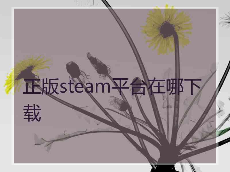 正版steam平台在哪下载