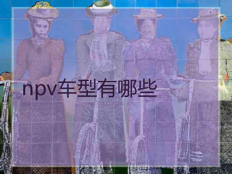 npv车型有哪些