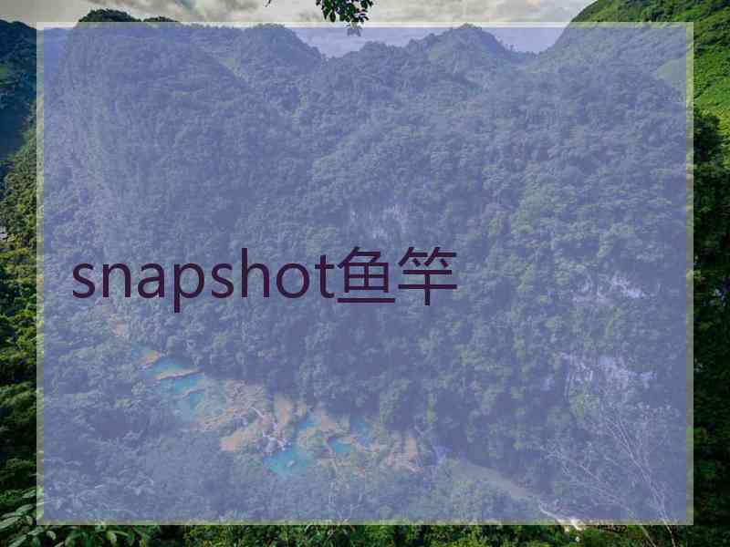 snapshot鱼竿