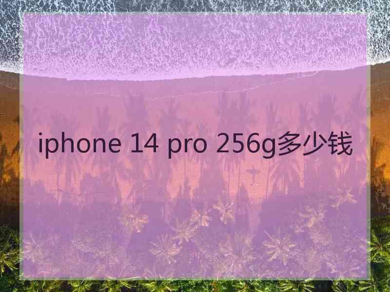 iphone 14 pro 256g多少钱