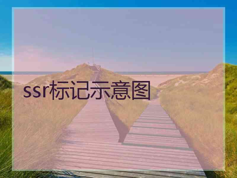 ssr标记示意图