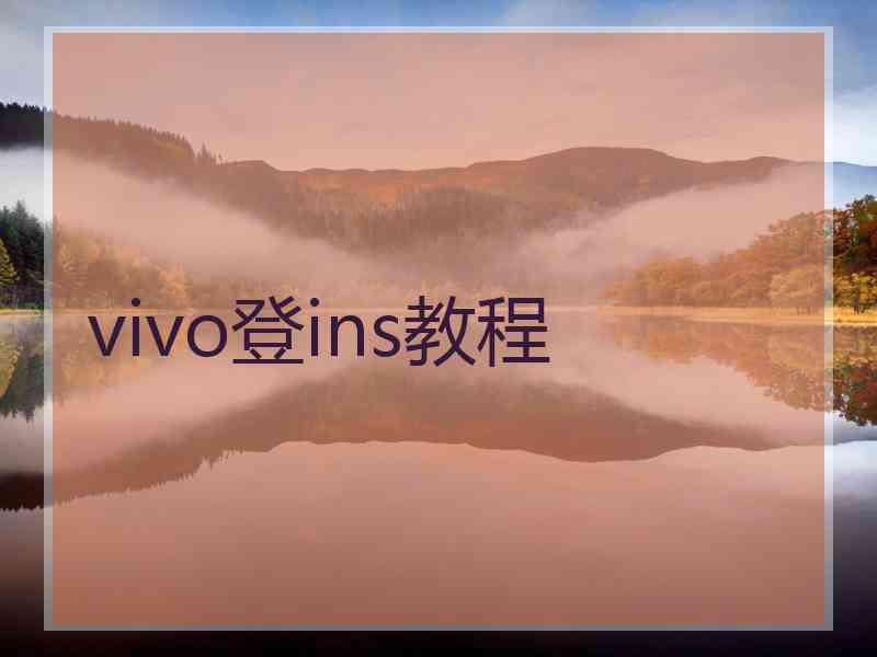 vivo登ins教程