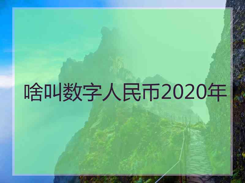 啥叫数字人民币2020年