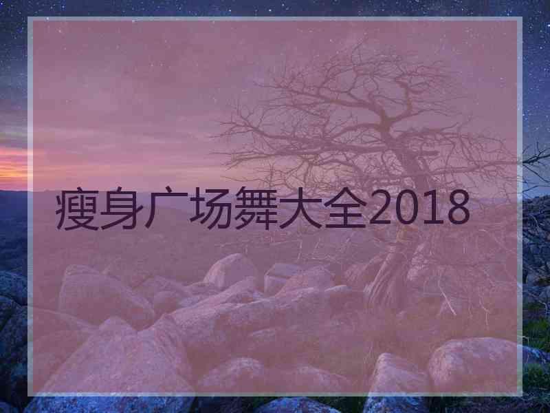 瘦身广场舞大全2018