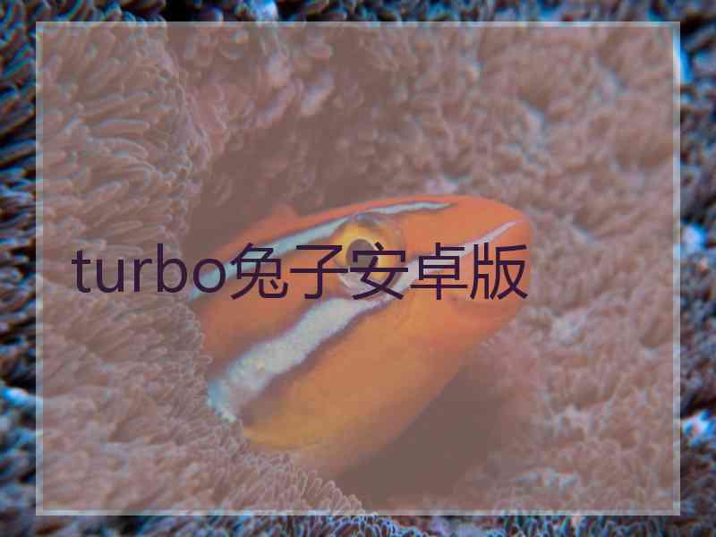 turbo兔子安卓版