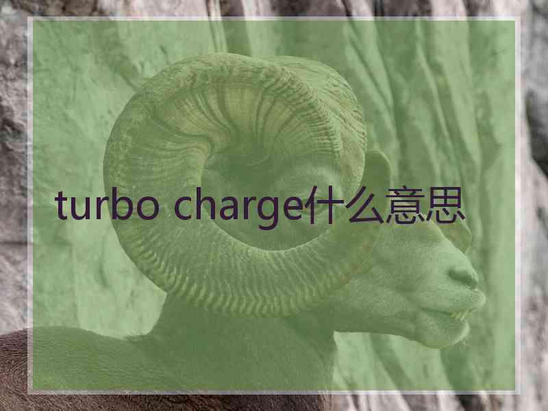 turbo charge什么意思