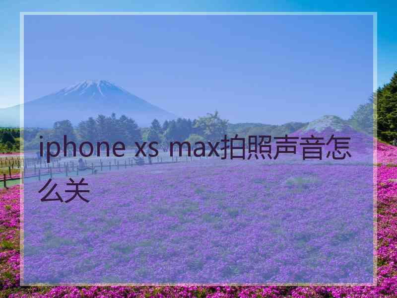 iphone xs max拍照声音怎么关